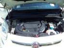 VISIONE COFANO MOTORE