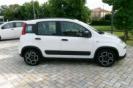 VISONE ESTERNA