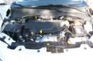 VISIONE COFANO MOTORE