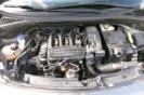 VISIONE COFANO MOTORE
