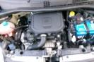 VISIONE COFANO MOTORE