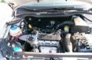 VISIONE COFANO MOTORE