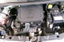 VISIONE COFANO MOTORE